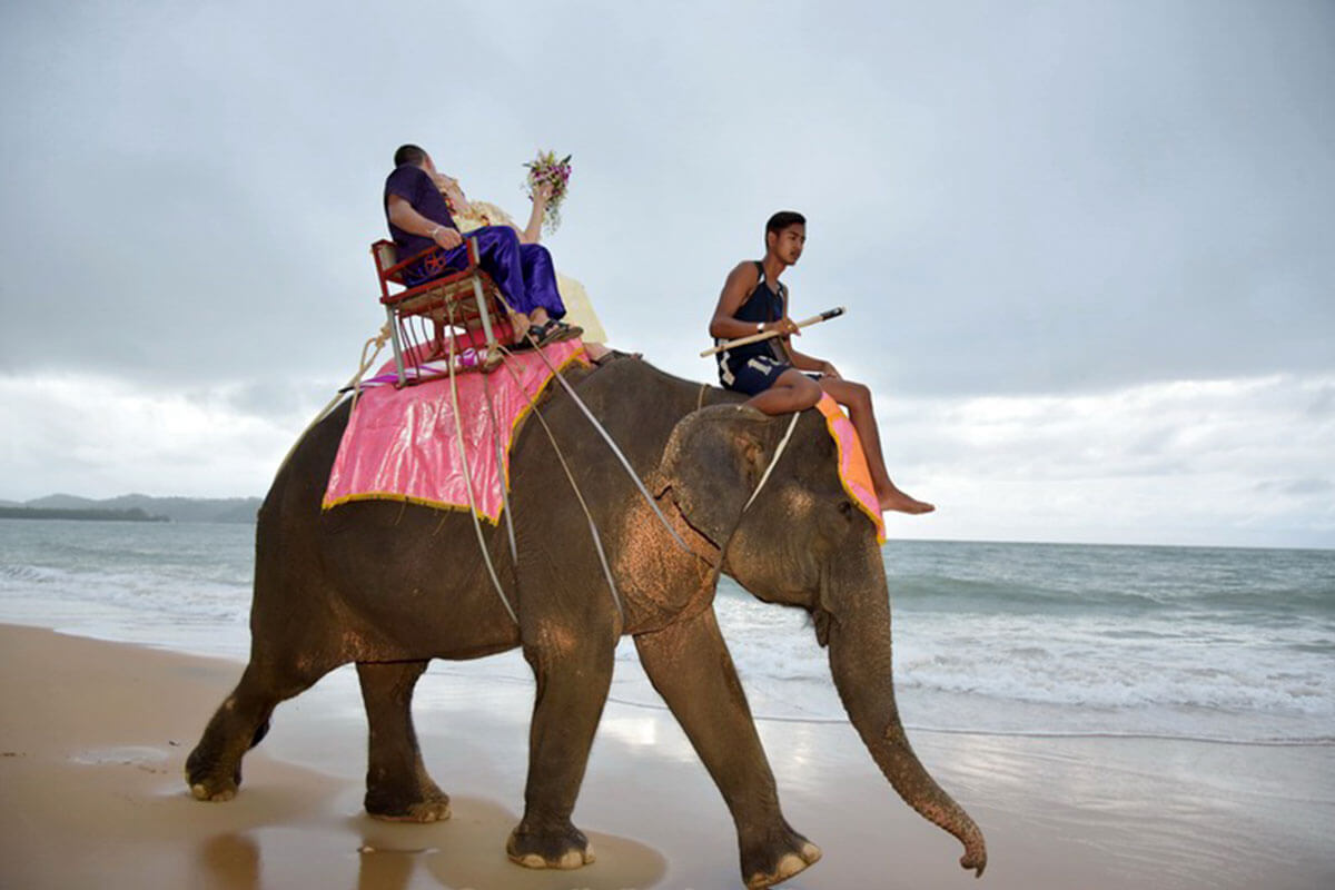 Promotion Khaolak Beach Elephant Wedding Package