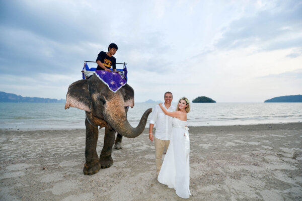 海灘上的泰國傳統婚禮 與大象同行